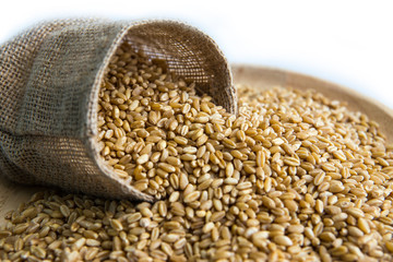 organic seed food for Health