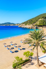 Palm tree and sun loungers on sandy Cala San Vicente beach, Ibiza island, Spain