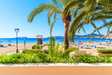 Palm trees on coastal promenade along sandy beach in Cala San Vicente bay on sunny summer day, Ibiza island, Spain