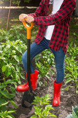 Fototapeta premium Closeup young woman in red wellington boots working on garden bed with shovel