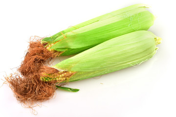 corn