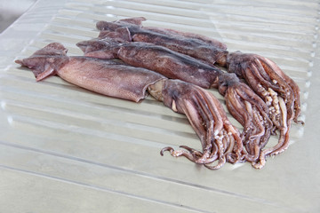 Three raw squids with tentacles on metal kitchen table.