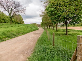 Ettenheim, Germany - Countryside 19