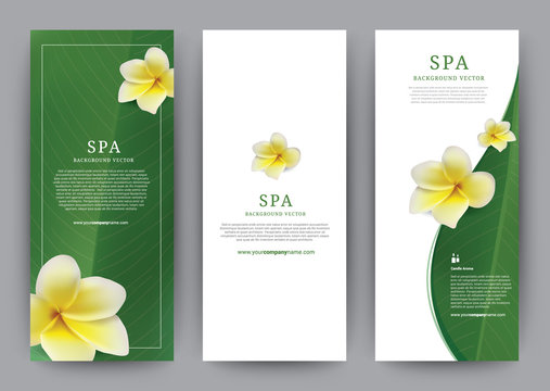 Template Banner Spa Frangipani flower, Green Leaf Modern design, brochure poster flyer leaflet, vector illustration