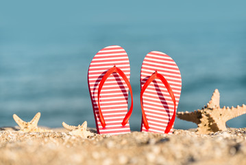 Striped red white flip flops and starfish on the sand near the ocean
