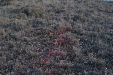 textura