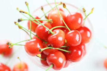 さくらんぼ　-佐藤錦-