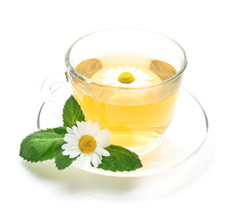 Transparent cup of chamomile tea with flowers and mint leaf