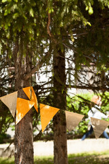 Fir tree branches in a park decorated with colorful garland. Festive green conifer trees in a summer city background