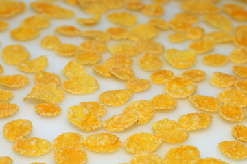 Texture of cornflakes on a white background