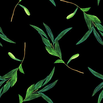 Seamless pattern with watercolor olive branch on black