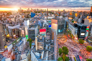 Fototapeta premium Shibuya Crossing z widoku z góry w Tokio