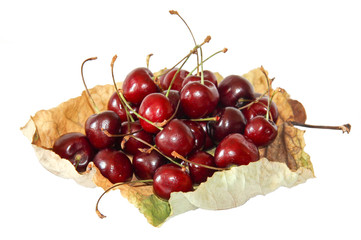 Ripe sweet cherry berries on a curled dried leaf