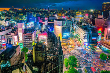 Shibuya Crossing from top view in Tokyo - obrazy, fototapety, plakaty