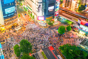 Fototapeta premium Shibuya Crossing z widoku z góry w Tokio