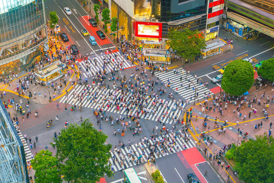 Fototapeta Shibuya Crossing from top view in Tokyo