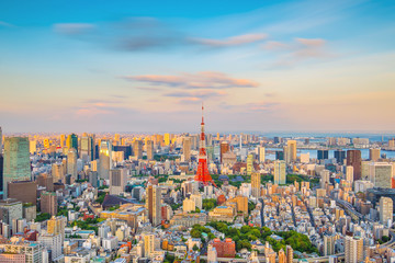 Horizon de Tokyo avec la tour de Tokyo au Japon
