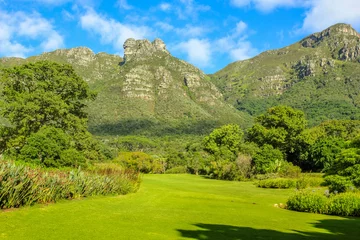 Foto auf Acrylglas The Kirstenbosch National Botanical Garden, an important botanical garden nestled at the foot of Table Mountain in Cape Town, South Africa, in the summer season. Sunny day. © bennymarty