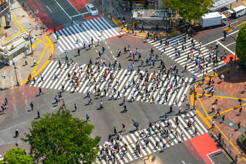Naklejka premium Przejście Shibuya z widoku z góry