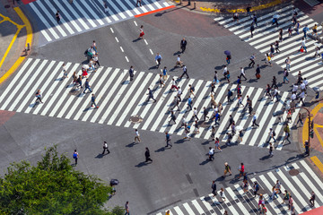 Fototapeta premium Shibuya Crossing from top view