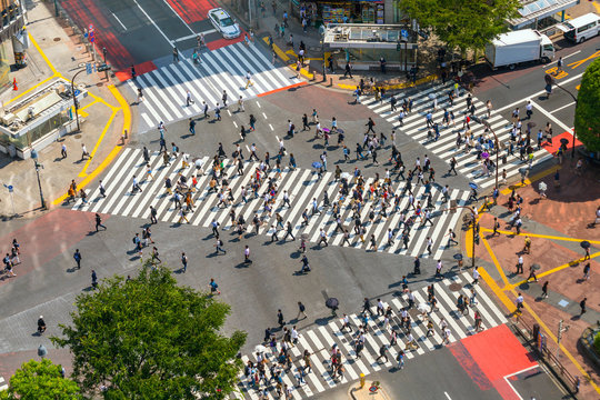Fototapeta Shibuya Crossing from top view
