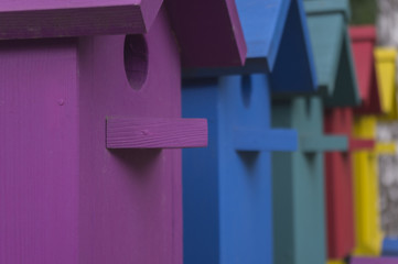 Many colorful houses for birds 2