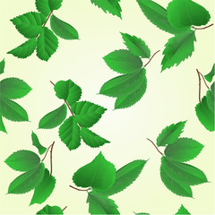 Seamless texture branches with leaves of roses vintage   set second vector illustration hand draw