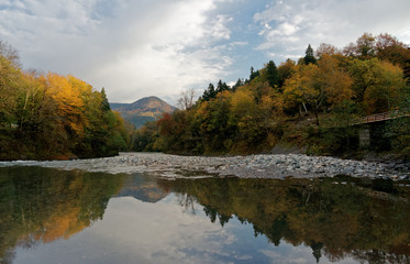 Clean mountain river, autumn forest and mountains at dawn. Caucasus. Russia. The Caucasian reserve. Cordon Guzeripl