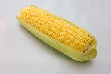 トウモロコシ