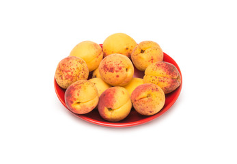 Apricot on white background