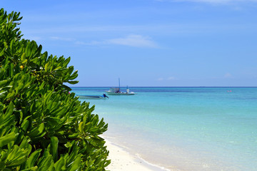 Summer Coast on the Maldives