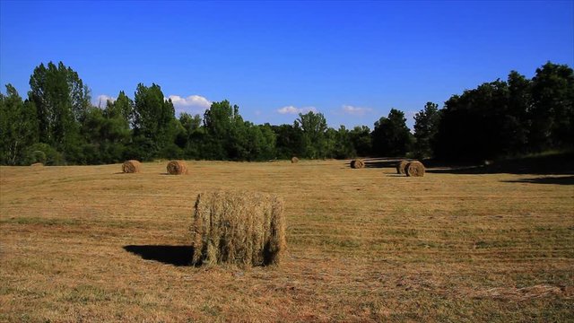 Campo o prado en verano ,  rodeado de arboles , con la hierba seca recientemente segada y recogida en pacas o balas
