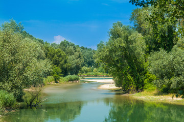 Beautiful jungle landscape, confluence of Mura and Drava rivers in Medjimurje, Croatia 