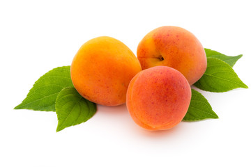 Apricots.