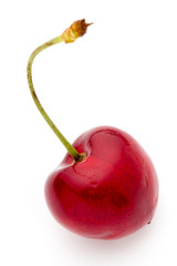 Cherry.