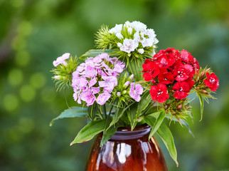 Beautiful flowers on a blurred background