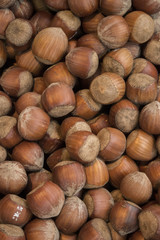 Haselnüsse