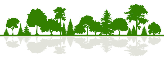 Silhouetten Laub- und Nadelwald © SimpLine