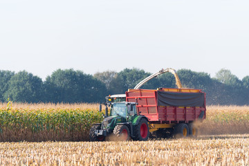 harvesting corn in the netherlands © hansenn