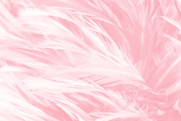 Fototapeta na wymiar Coral Pink vintage color trends feather texture background