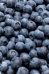 Blaubeeren