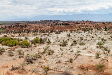 Fototapeta na wymiar Landscape of Tatacoa desert, Colombia