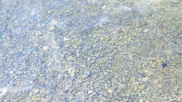 Stones in Clear Water in Miami 