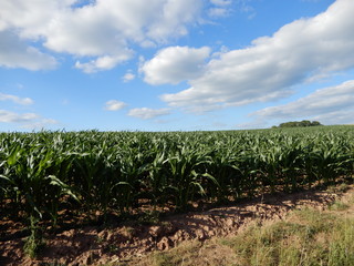 Blauer Himmel überm Land