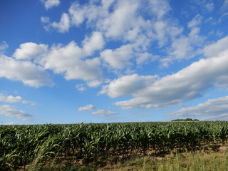 Fototapeta premium Blauer Himmel überm Land