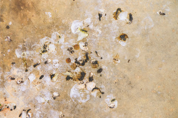 Bird droppings on cement wall background