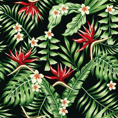 Tropical plants and flowers seamless black background