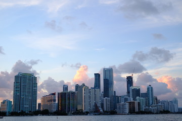 Fototapeta premium Downtown Miami Skyline in the Summer