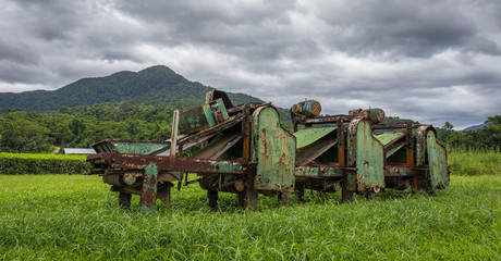Old rusty tea leaf sorting machine in a field with mountains in background in far north Queensland Australia