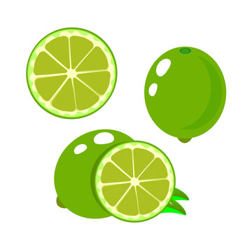 Set slices of lime isolated on white background. Vector illustration.